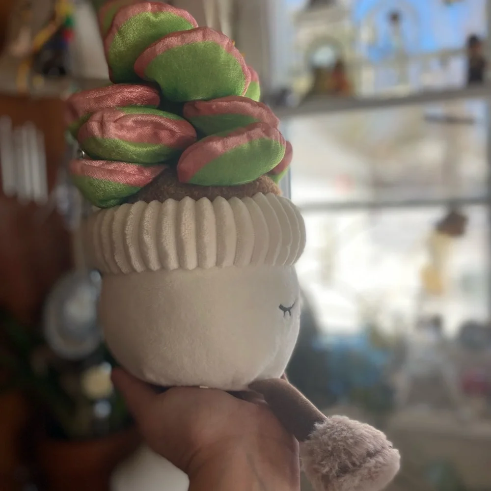 Sleepy Cozy Potted Succulent Plush CUTIE Decor PLANT LOVERS 🏜️🪷